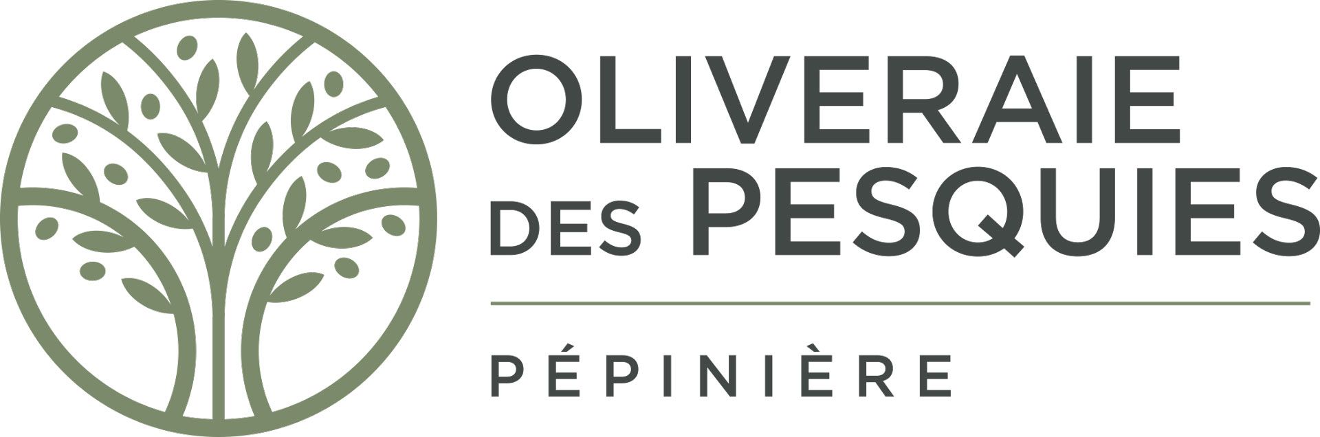 Oliveraie des Pesquies